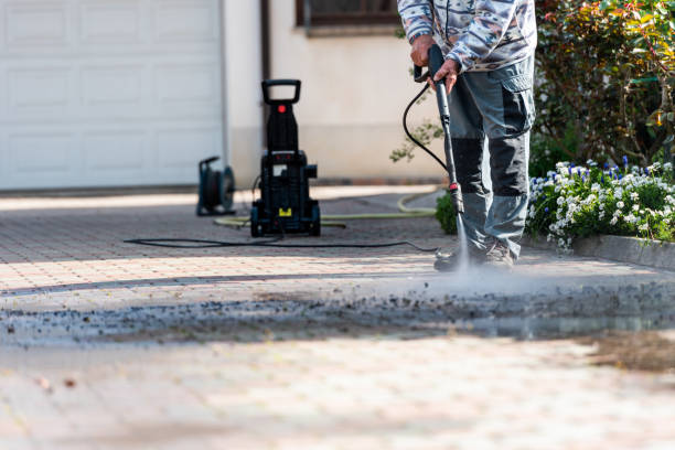 Best Pressure Washing Near Me  in Siesta Acres, TX