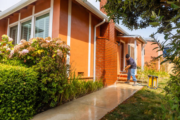 Best Exterior Home Cleaning  in Siesta Acres, TX