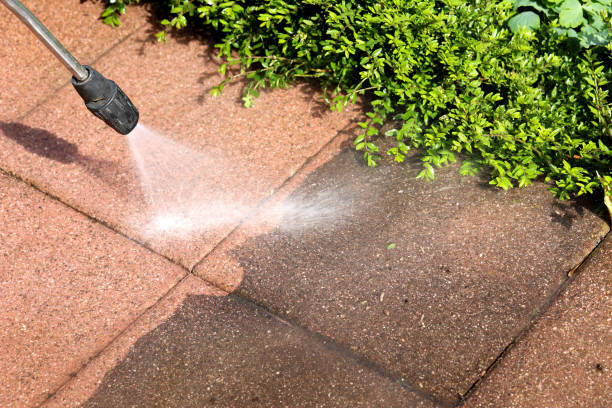 Best Roof Pressure Washing  in Siesta Acres, TX